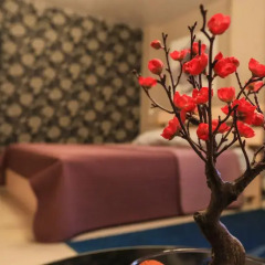 Гостиница Цветы Полулюкс разные типы кроватей фото 19