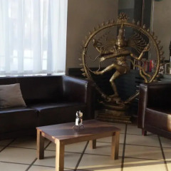Гостиница Zavidovo Resort интерьер отеля