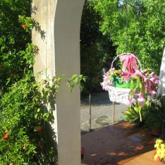 Отель B&B Oasi di Venezia