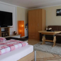 Отель Ferienwohnung Dresden Trachenberge Германия, Дрезден - отзывы, цены и фото номеров - забронировать отель Ferienwohnung Dresden Trachenberge онлайн комната для гостей фото 2