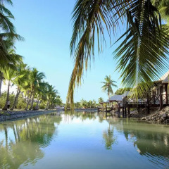 Отель Musket Cove Island Resort & Marina 4* Бунгало с различными типами кроватей фото 7
