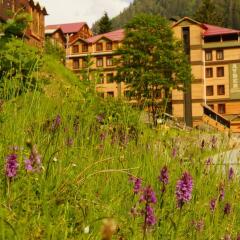 Ayder Resort Hotel Турция, Чамлыхемшин - отзывы, цены и фото номеров - забронировать отель Ayder Resort Hotel онлайн фото 5
