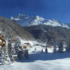 Hotel Alpenhof Стельвио фото 3
