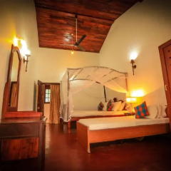 Отель Beach Grove Villas 3* Стандартный номер с различными типами кроватей фото 6