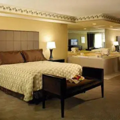 Отель New York New York 4* Люкс с различными типами кроватей фото 7