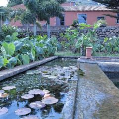 Отель Haciendas del Valle - Las Kentias фото 2