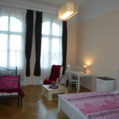 Апартаменты Pipa Apartment Будапешт комната для гостей фото 2