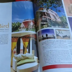 Отель Flying Bird удобства в номере