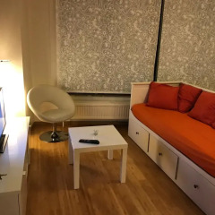 Отель Brussels Roi Baudouin Apartment Бельгия, Брюссель - отзывы, цены и фото номеров - забронировать отель Brussels Roi Baudouin Apartment онлайн комната для гостей фото 3