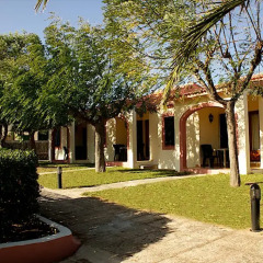 Отель Bungalows Ses Malvas Испания, Кала-эн-Бланес - 1 отзыв об отеле, цены и фото номеров - забронировать отель Bungalows Ses Malvas онлайн фото 2