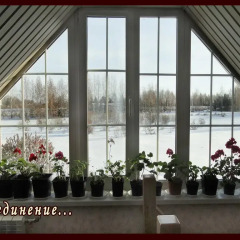 Гостиница Lilac Garden в Старом Мартьяновом отзывы, цены и фото номеров - забронировать гостиницу Lilac Garden онлайн Старое Мартьяново помещение для мероприятий
