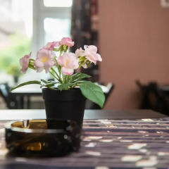 Hostel Green House Tyumen