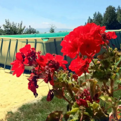 Отель Country Club Primi Faggi Санто-Стефано-ин-Аспромонте фото 5