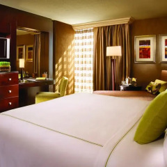 Treasure Island Hotel & Casino 4* Стандартный номер с различными типами кроватей фото 2