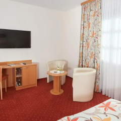 Отель Pension Sprinzl 3* Стандартный номер фото 8