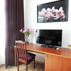 Hotel Zvezdnyi 3* Стандартный номер с разными типами кроватей фото 6
