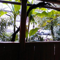 Отель Guest House Chez Ketevan Грузия, Тбилиси - отзывы, цены и фото номеров - забронировать отель Guest House Chez Ketevan онлайн балкон