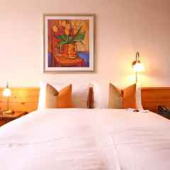 Gstaaderhof Swiss Quality Hotel 4* Стандартный номер с различными типами кроватей фото 3