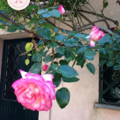 Отель Cortile Delle Rose Виагранде фото 2