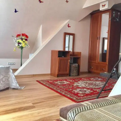 Гостевой дом Вилари 3* Студия с разными типами кроватей фото 5