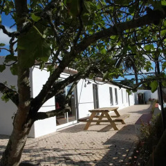 Отель House in a Farm 2km from the Ericeira Beach пляж