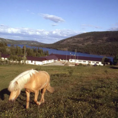 Отель Valdres Høyfjellshotell с домашними животными