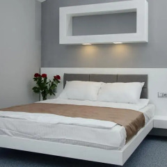 Апартаменты Pushkinskaya Apartments Стандартный номер фото 6