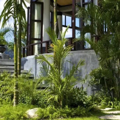 Отель Bans Diving Resort Таиланд, Остров Тау - отзывы, цены и фото номеров - забронировать отель Bans Diving Resort онлайн фото 3