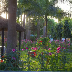 Отель Chitwan Adventure Resort Непал, Саураха - отзывы, цены и фото номеров - забронировать отель Chitwan Adventure Resort онлайн фото 11