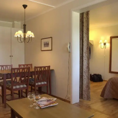 Birkebeineren Hotel & Apartments 3* Номер Делюкс с различными типами кроватей фото 6