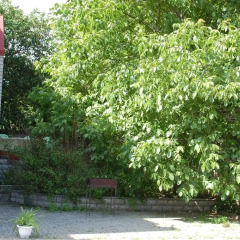Гостиница Holiday Home Sea and Fun Одесса фото 3