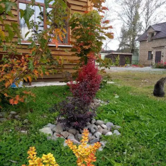 Гостиница guest house Elizaveta фото 3