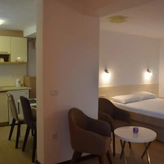 Апартаменты Apartments TMV Dragovic в номере