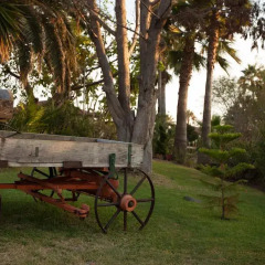 California Trailer Park & Hotel детские мероприятия