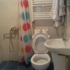 Отель Guest House Artemi Армения, Одзун - отзывы, цены и фото номеров - забронировать отель Guest House Artemi онлайн ванная фото 2