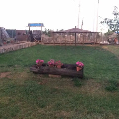 Отель La casa del camino с домашними животными