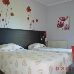 Отель Hôtel Martinez Grenay 2* Стандартный номер с 2 отдельными кроватями фото 2