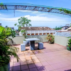 Отель Frangipani Motel Галле фото 3