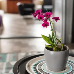 Апартаменты Karma Boutique Apartments 3* Улучшенные апартаменты с различными типами кроватей фото 29