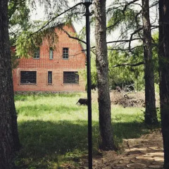 Гостиница Baza otdykha Tsvetov Les в Курске отзывы, цены и фото номеров - забронировать гостиницу Baza otdykha Tsvetov Les онлайн Курск фото 2