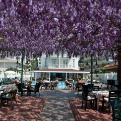 Azak Hotel питание