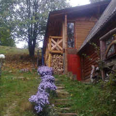 Отель Krutogora Буковель фото 7