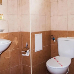 Отель Ivian Family Hotel Болгария, Равда - отзывы, цены и фото номеров - забронировать отель Ivian Family Hotel онлайн ванная