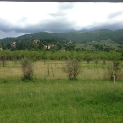 Отель Agriturismo Sant' Andrea Ареццо приотельная территория