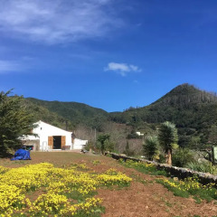 Отель Finca el Roque фото 2