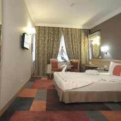 SV Business Hotel Diyarbakir 4* Стандартный номер фото 4