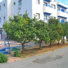 Отель Maouris Villa Кипр, Протарас - отзывы, цены и фото номеров - забронировать отель Maouris Villa онлайн парковка