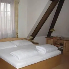 Hotel Zlaty Lev 4* Люкс фото 15