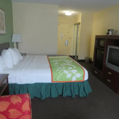 Отель Baymont Inn & Suites Jefferson City 3* Номер Делюкс с различными типами кроватей