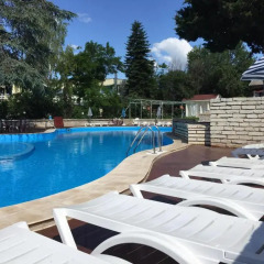 Bisser Hotel бассейн